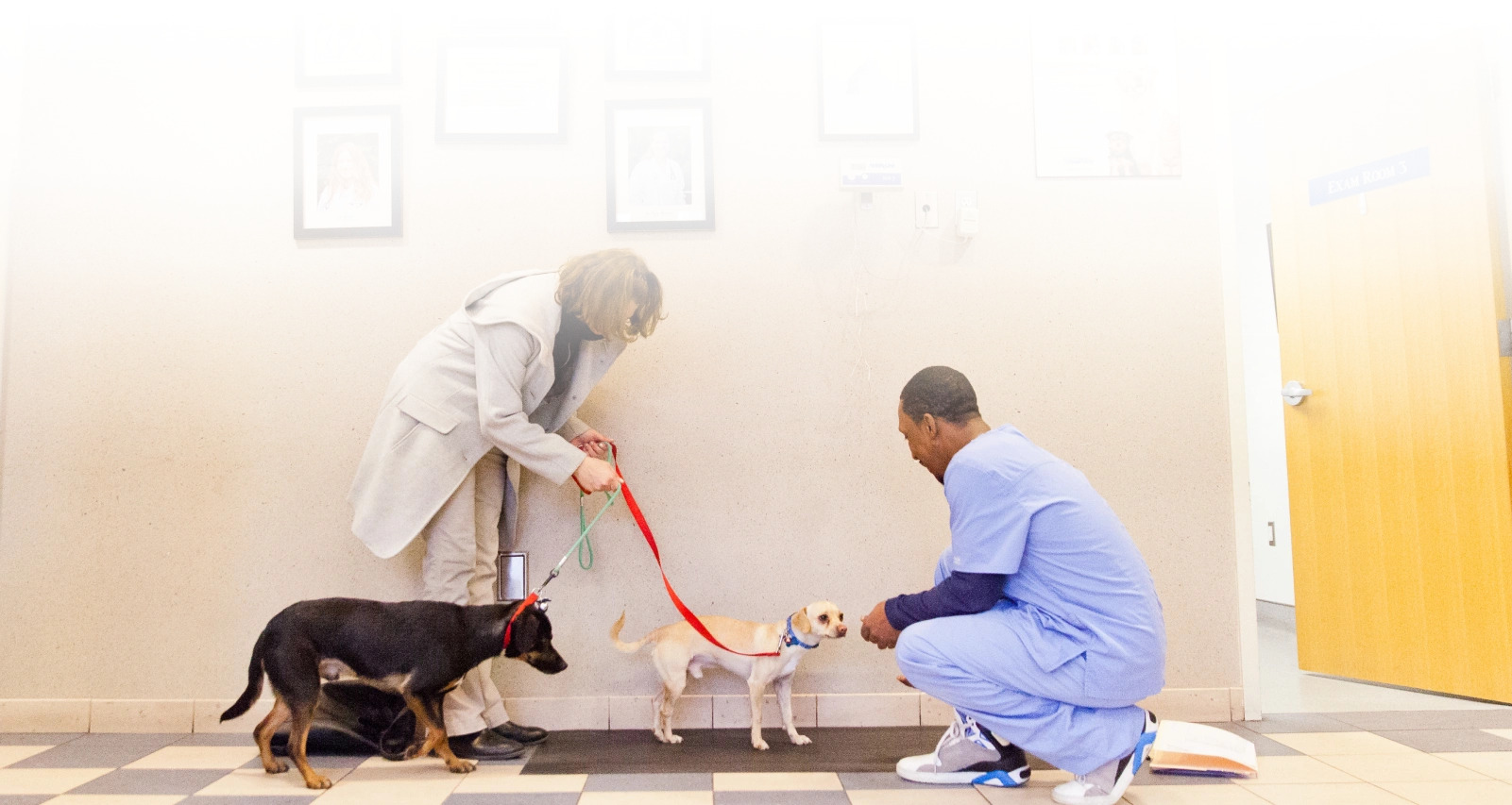 description